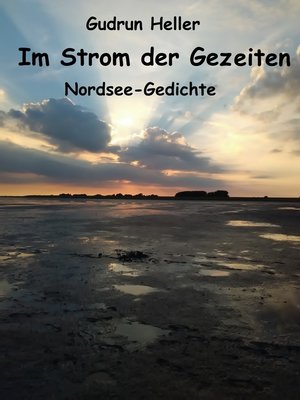 cover image of Im Strom der Gezeiten